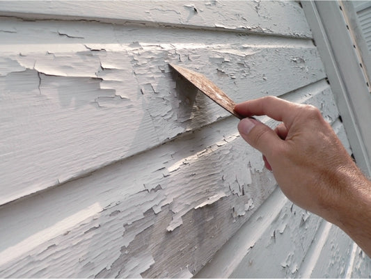 Why Does Paint Peel? Causes and Solutions for a Perfect Finish