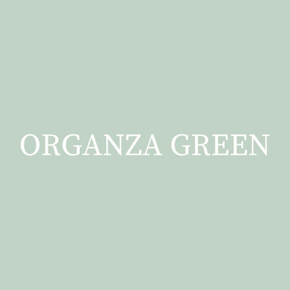 Organza Green-DWIL Wood Furniture Paint Kit (With Tools)