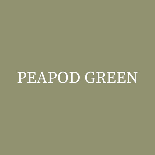 Peapod Green-DWIL Wood Furniture Paint Kit（With tools)